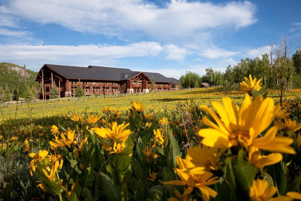 Daniels Summit Lodge Wallsburg Exteriér fotografie
